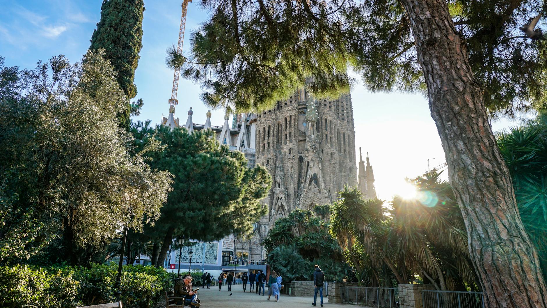 Fotógrafo de familia en Ourense exterior: guía completa