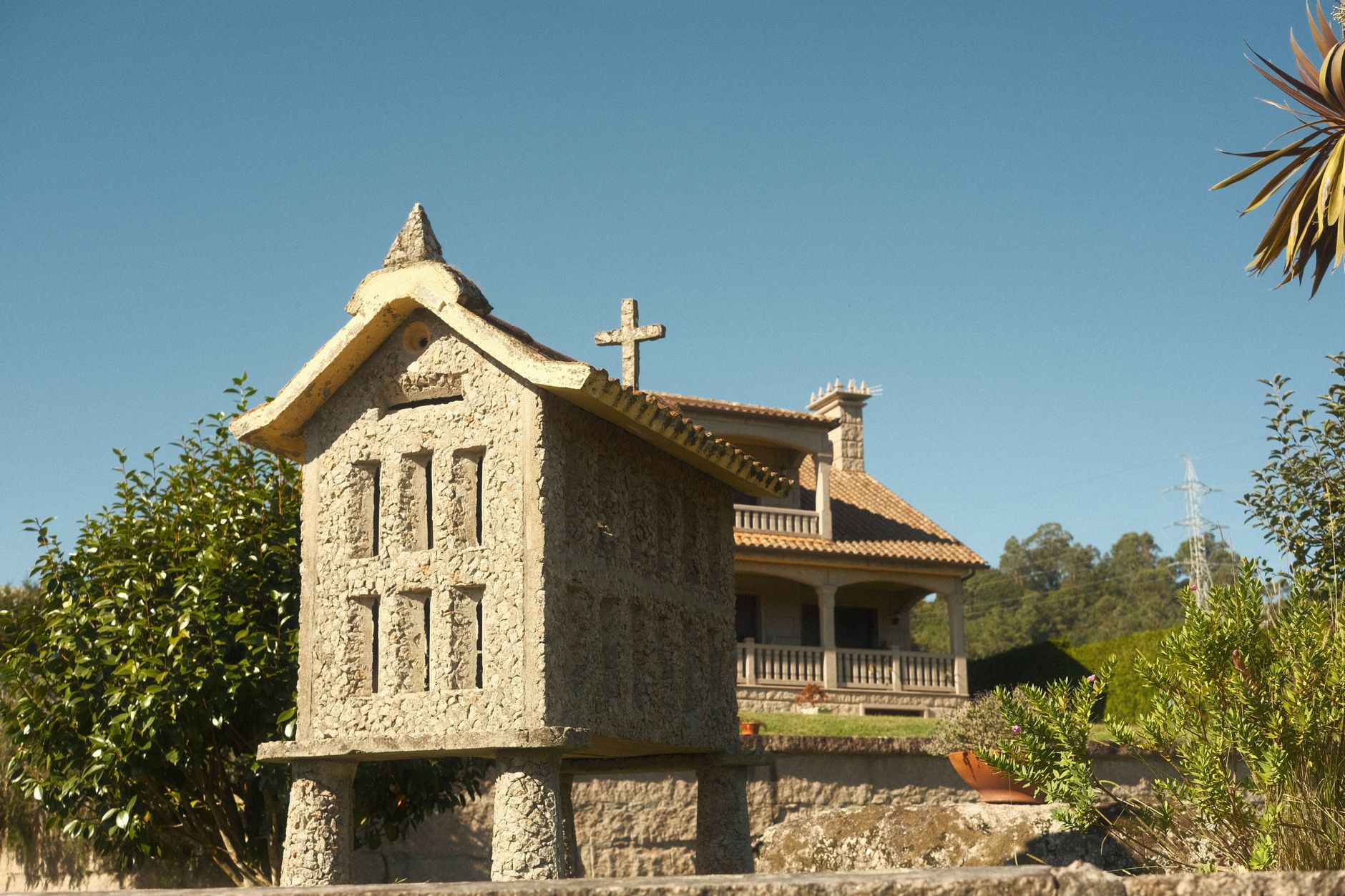 El truco secreto para sesión fotos verano Galicia familia